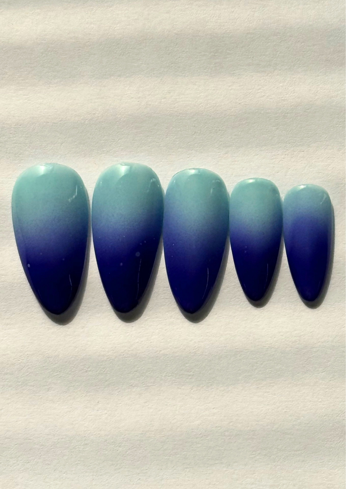 INDIGO BLOOMS